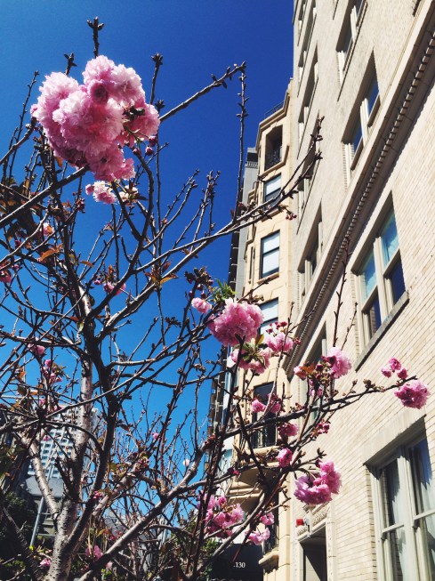 Processed with VSCOcam with f2 preset