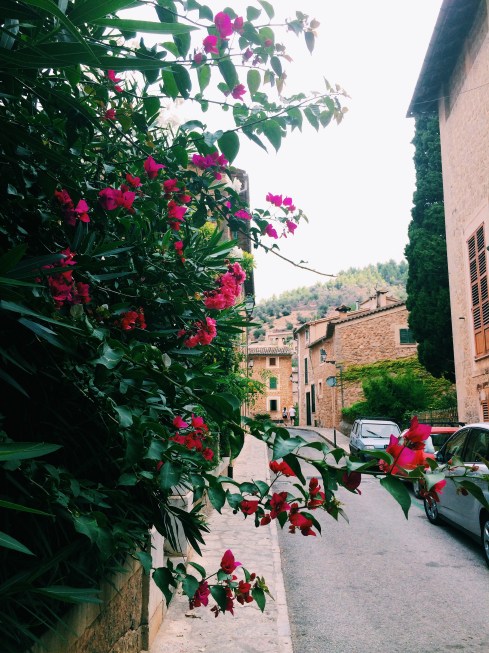 Processed with VSCOcam with c1 preset