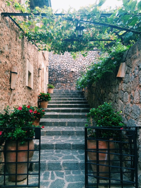 Processed with VSCOcam with c1 preset